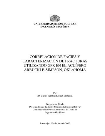 Correlación de facies y caracterización de fracturas utilizando GPR ...