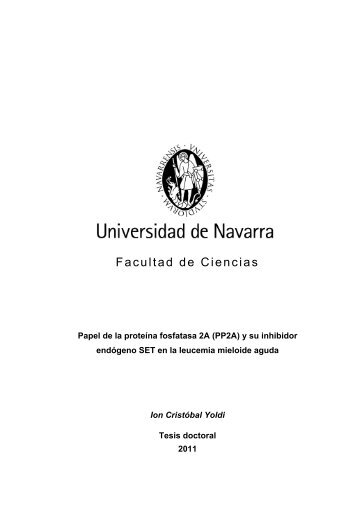 Título 1 - Universidad de Navarra