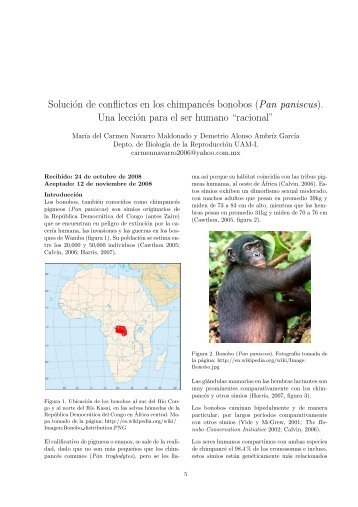 Solución de conflictos en los chimpancés bonobos (Pan paniscus ...