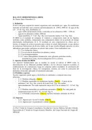 BALANCE HIDROMINERAL (BHM) Dr. Benito Saínz Menéndez (1) 1 ...