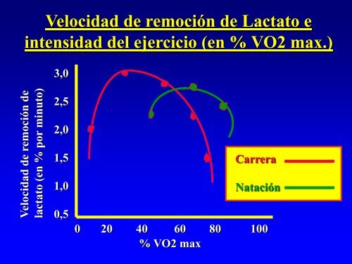 9 Acido Lactico, ejercicio y procesos de recuperaciòn