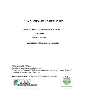 Un Sueño Hecho Realidad (estudio de caso, El Diviso)