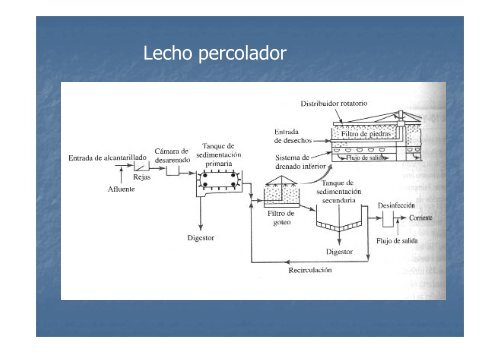 Tratamiento de efluentes - Area Bioprocesos o Area de ...