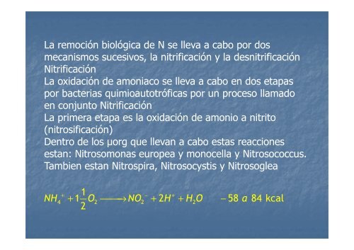 Tratamiento de efluentes - Area Bioprocesos o Area de ...