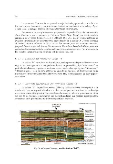 Caracteristicas geologicas generales de los principales campos - IRD