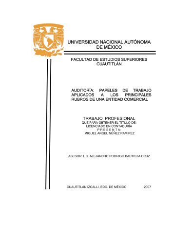 UNIVERSIDAD NACIONAL AUTÓNOMA DE MÉXICO - UNAM