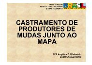 castramento de produtores de mudas junto ao mapa - CREA-RS