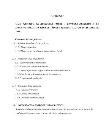 Capítulo V. Caso práctico de auditoria fiscal