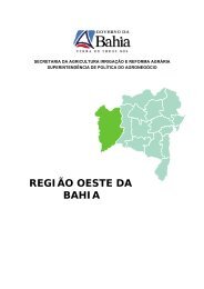 Nota Técnica - A região Oeste da Bahia - Seagri