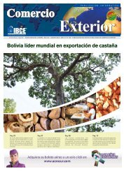 Bolivia lider mundial en exportación de castaña - IBCE