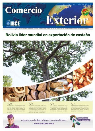 Bolivia lider mundial en exportación de castaña - IBCE