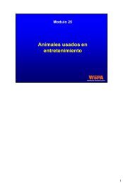 Concepts in Animal Welfare - WSPA