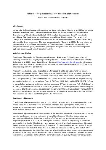 2061452Relaciones filogeneticas del genero Tillandsia.pdf