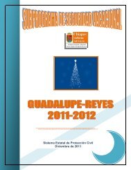 Seguridad Vacacional Guadalupe Reyes 2011-2012 - Protección Civil