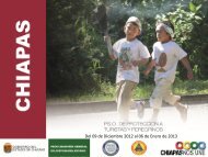 Plan Guadalupe-Reyes 2012 - Protección Civil