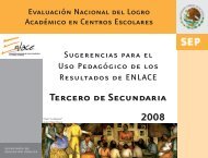 Enlace 2008