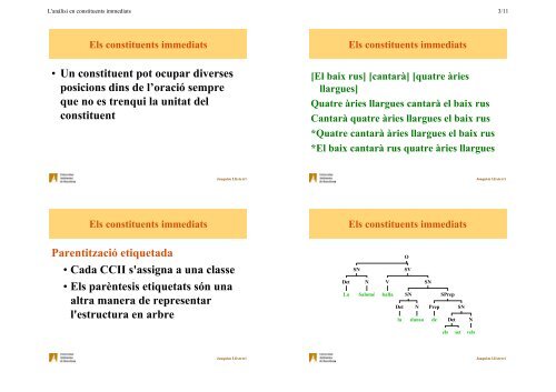 Els constituents immediats i l'estructura sintàctica com