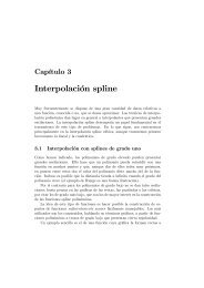 Interpolación spline