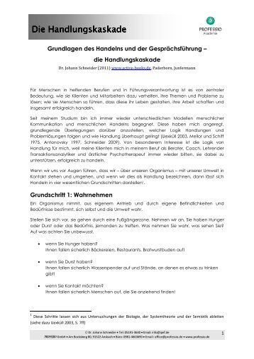 die Handlungskaskade - Professio GmbH