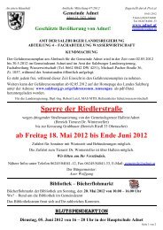 Datei herunterladen (196 KB) - .PDF - Adnet