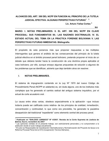 alcances del art. 399 del ncpp en funcion al principio de la tutela ...