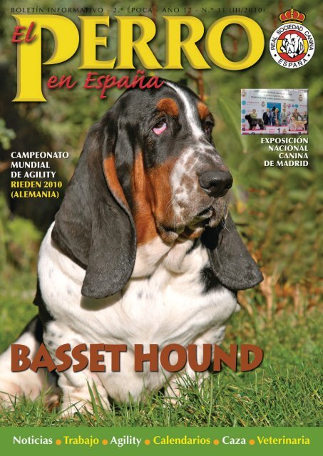 El perro en España 31 - Real Sociedad Canina de España