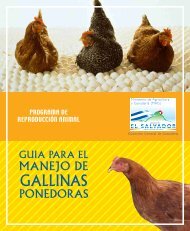 Guía El manejo de gallinas ponedoras