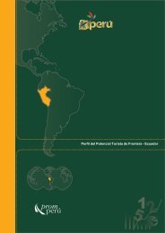 Publicación Perfil del Potencial Turista de Frontera ... - promperu