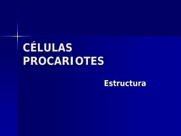 CELULAS PROCARIONTES