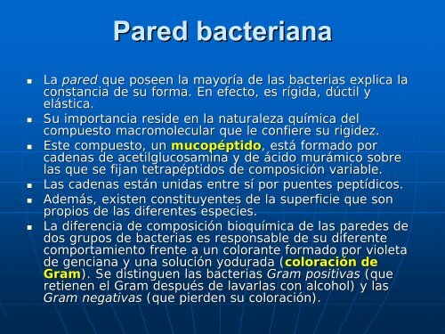 CELULAS PROCARIONTES