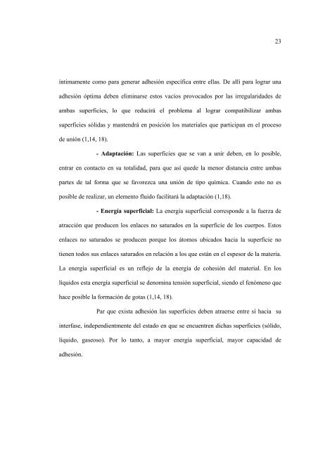 rich_m.pdf - Tesis Electrónicas Universidad de Chile