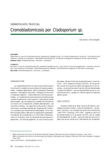 Cladosporium sp.