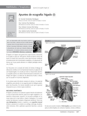 Apuntes de ecografía: hígado - Asociación Galega de Medicina ...