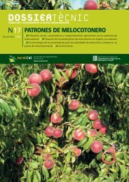 Patrones de melocotonero - FRUTALES