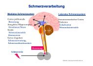 Schautafeln Schmerz