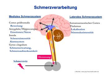 Schautafeln Schmerz