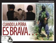 www.poderciudadano.com.mx