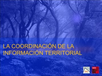 La Coordinación de la Información Territorial. Proyecto Ramón Llull