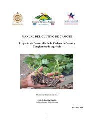 MANUAL DEL CULTIVO DE CAMOTE Proyecto de Desarrollo de la ...