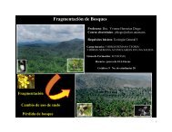 Fragmentación de Bosques - Facultad de Biología - Universidad ...