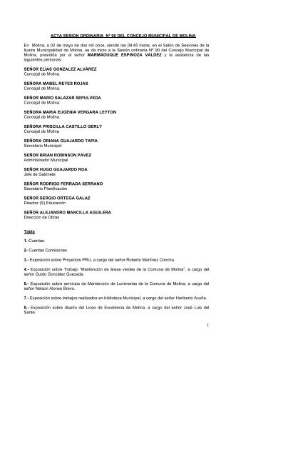 ACTA SESION ORDINARIA Nº 90 DEL CONCEJO ... - Molina.cl