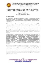 DESTRUCCIÓN DE EXPLOSIVOS - aneiex