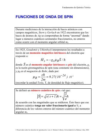 FUNCIONES DE ONDA DE SPIN - Dr. Luis Alberto Montero Cabrera ...