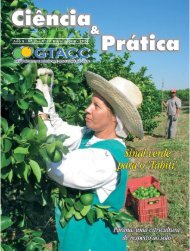 Paraná: uma citricultura de respeito ao solo - GTACC