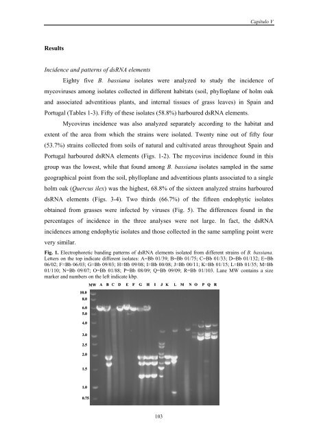 TESIS NOEMI HERRERO.pdf - Consejo Superior de Investigaciones ...