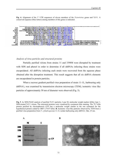 TESIS NOEMI HERRERO.pdf - Consejo Superior de Investigaciones ...