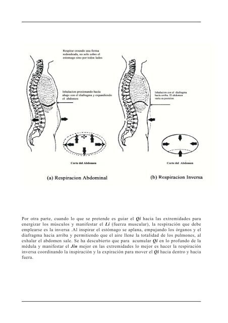 Qi - shitokaidetenerife.com