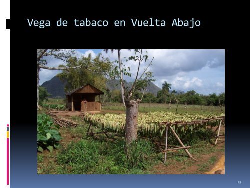 Reflexiones teóricas sobre la Geografía rural Curso Mateo.pdf - RUA