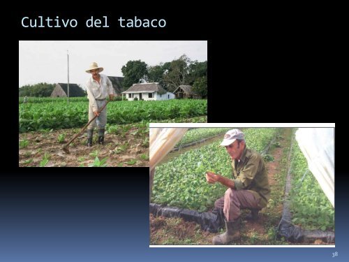 Reflexiones teóricas sobre la Geografía rural Curso Mateo.pdf - RUA