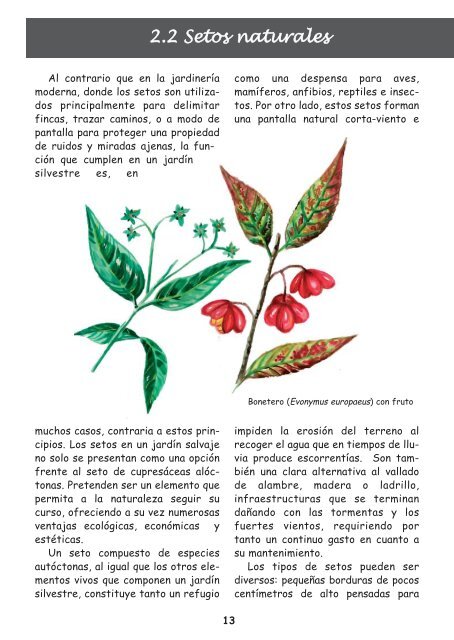 Manual de biodiversidad “El Jardín Salvaje” - Asociación Reforesta